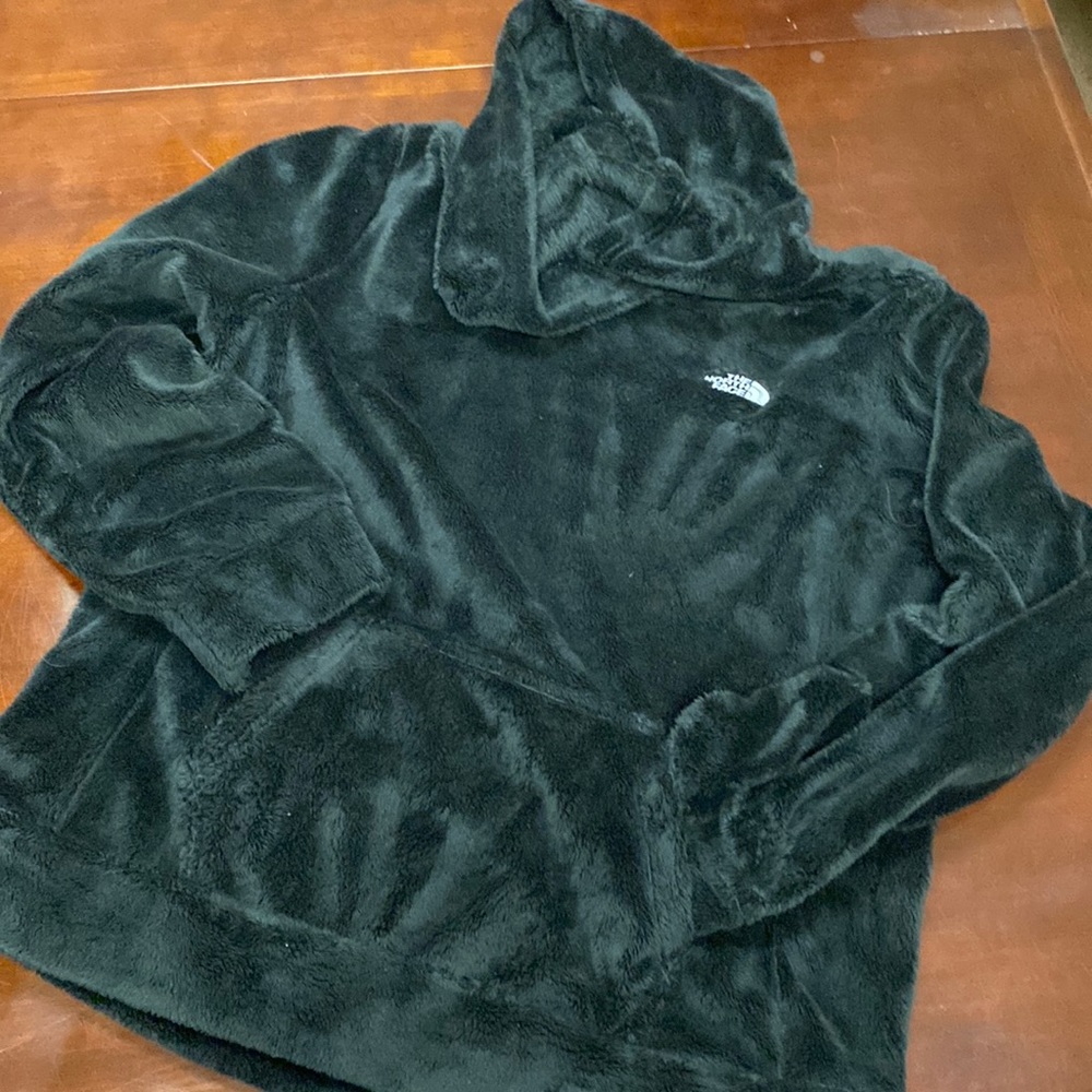 North Face Hoodie, Sz Lg, plush and warm, EUC